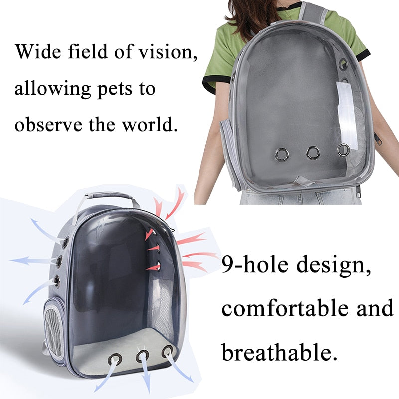 Kassi kandmise seljakott DreamPet™