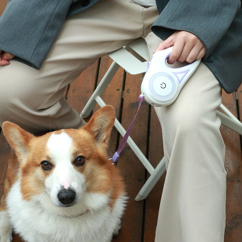 Isekeriv koera jalutusrihm LED - valgusega DreamPet™