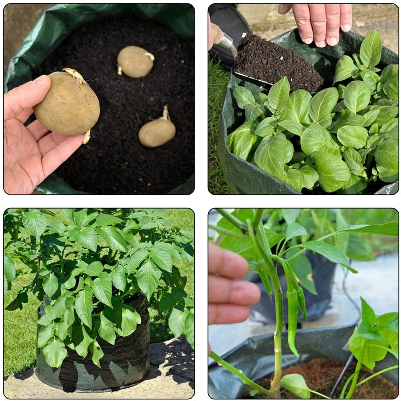 Köögiviljade kasvatamise kasvukott  PlantEasy™