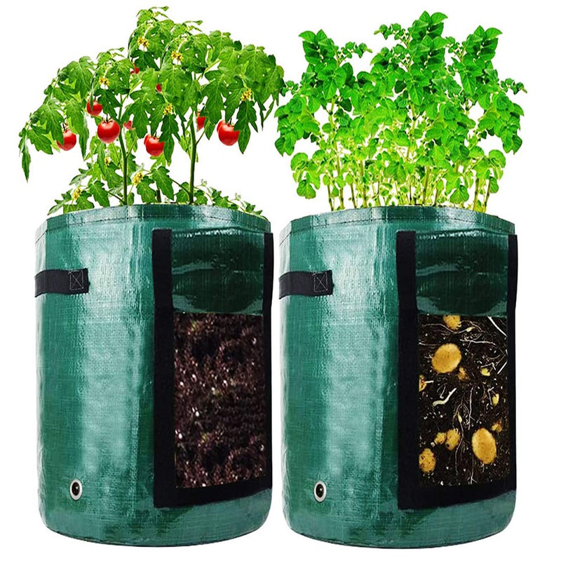 Köögiviljade kasvatamise kasvukott  PlantEasy™